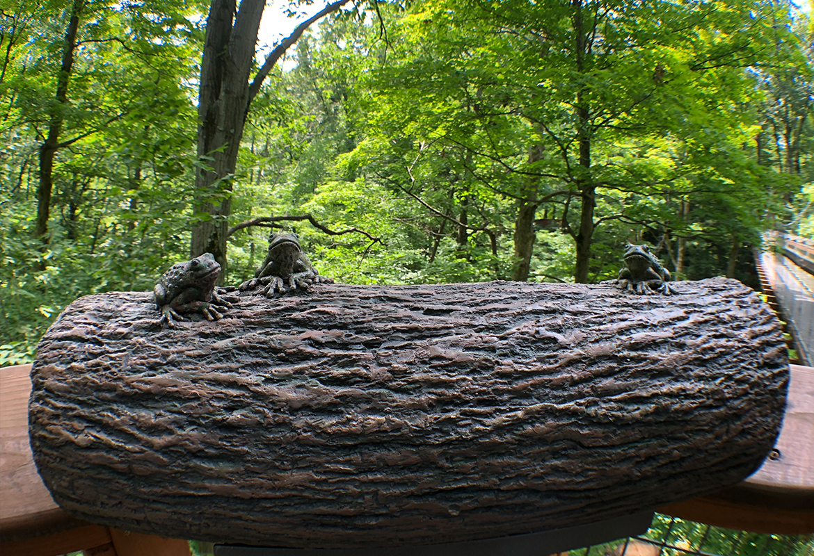 holden arboretum