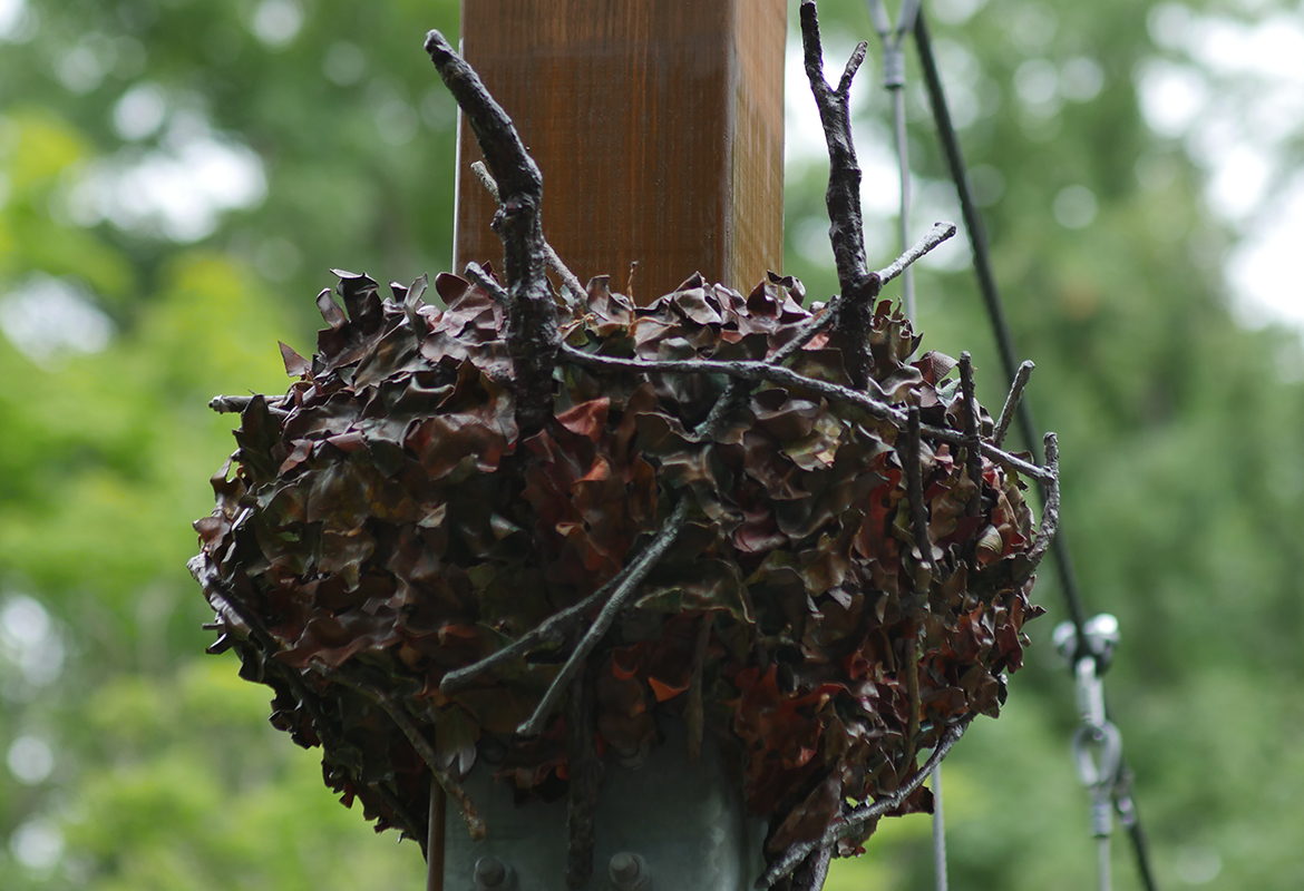 holden arboretum