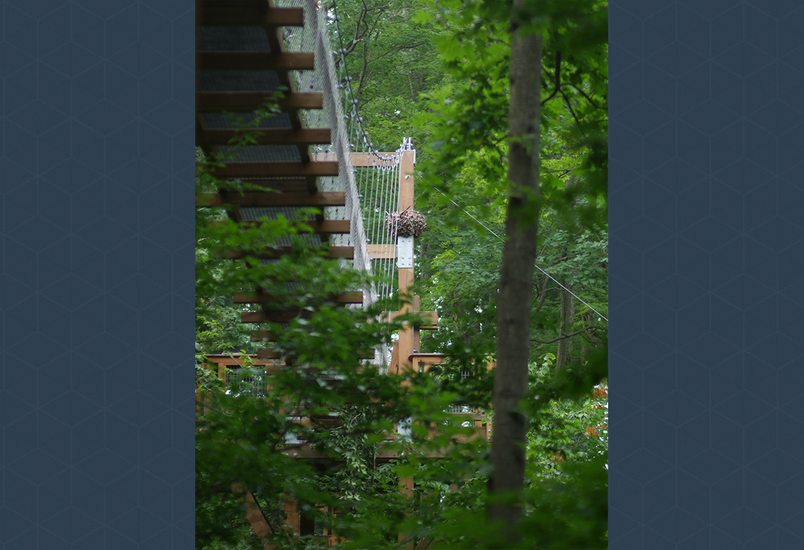 holden arboretum