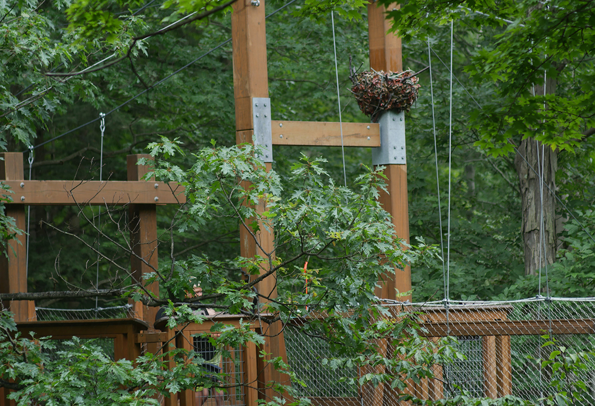 holden arboretum
