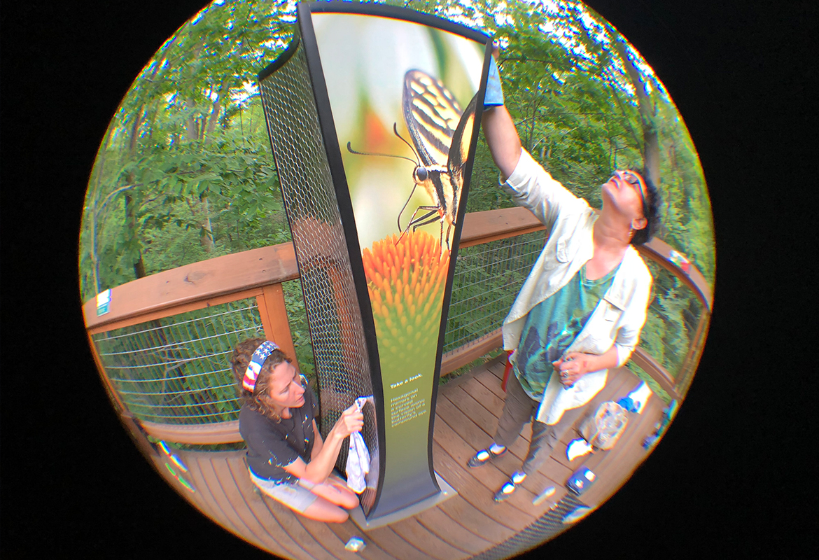 holden arboretum