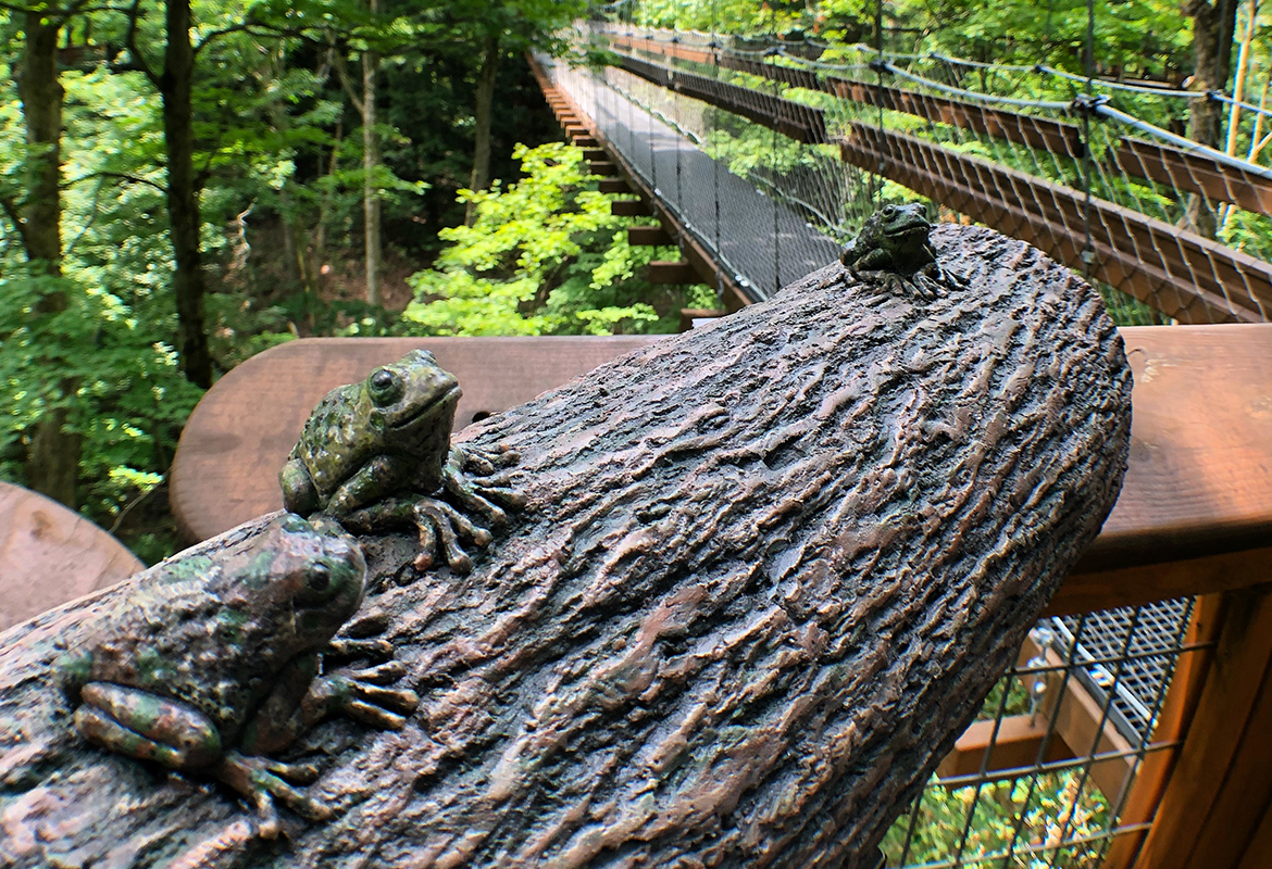 holden arboretum