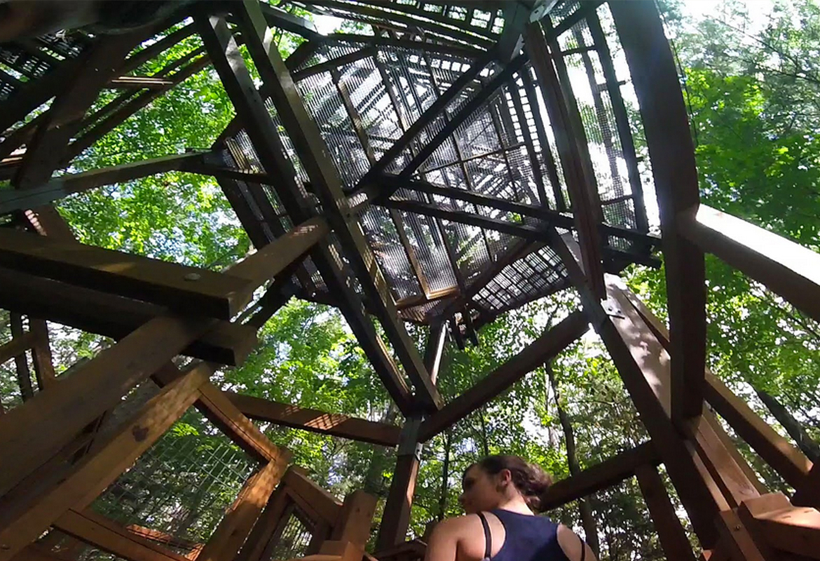 holden arboretum